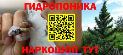 твердый Гусев