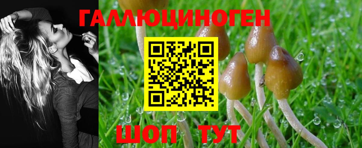 Псилоцибиновые грибы GOLDEN TEACHER  Вход с VPN  Мурманск 
